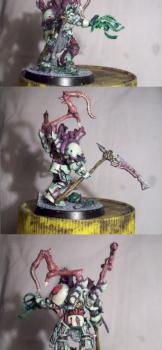 Typhus by Rerclusiarch