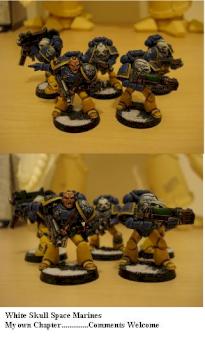 White Skulls Space Marines by Beef