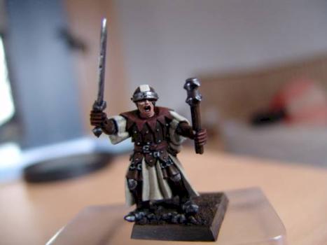 Bretonnian Warden by Joey