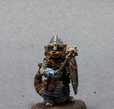 Racoon Cleric by superbug983