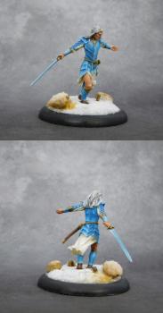 Elf warrior by The Huntress