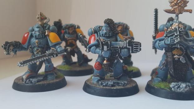 Grey Hunters by trikzter