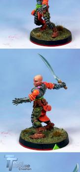 Old Shaolin model by cougar