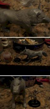 My First self-made wolf (not good) by xzxzzx