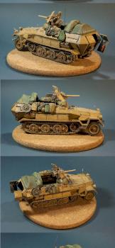 SdKfz 251/10 1/35 by Gillman