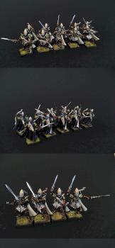 Sombrios Altos elfos / Hight Elves Shadow warriors by terrynor