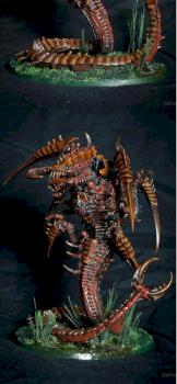 Trygon by DaFlei