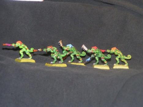 Chameleon Skinks by toadman03