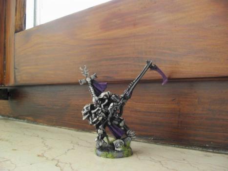 Warhammer Well Painted Maguan-Ra Eldar by AM Studio