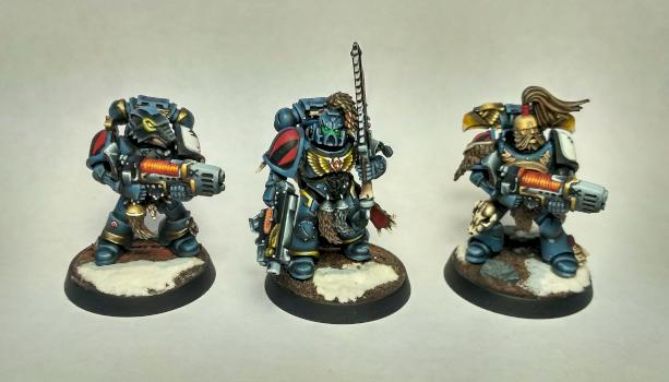 Space wolves Grey Hunters by Scotlandec