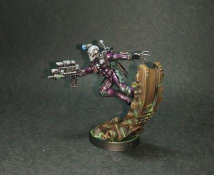 Eversor by House