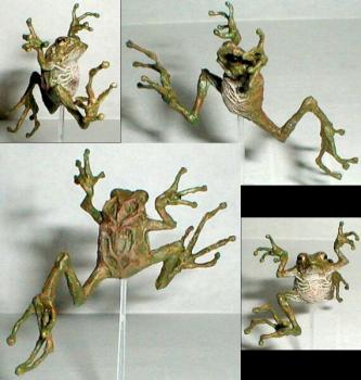Toad by Patraw