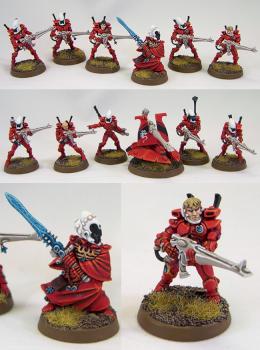 Eldar Guardians of Saim-Hann with Warlock and Weapon Platform by richardvan