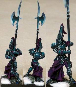 Dark elf Black Guardian by lukatme