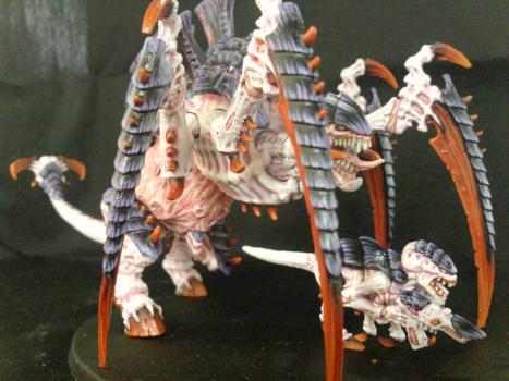 tervigon by donel