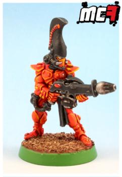 Eldar Fire Dragon by mcewan7