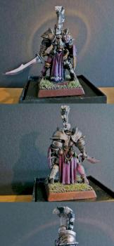 Converted Champion Of Slaanesh by corus