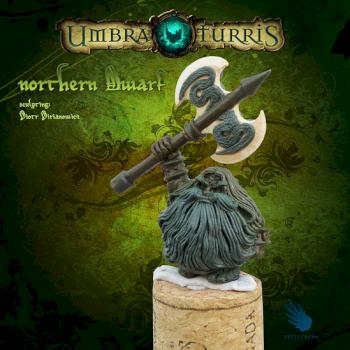 Northern Dwarf with a great axe by SPELLCROW