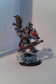 First Grey Wolve by Accipiter