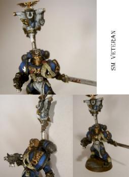 Space marine veteran (updated) by Caledor