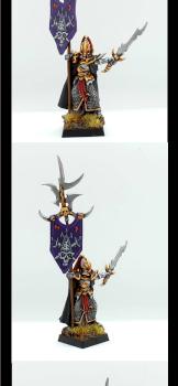 Dark Elf Limited Standard Bearer by felix jaeger