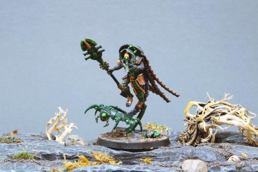 Necron cryptek technomancien 1 by Teutonicus-varas