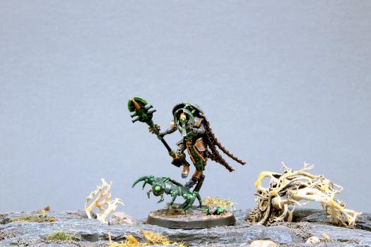 Necron cryptek technomancien 3 by Teutonicus-varas