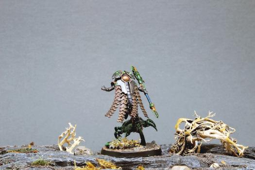Necron cryptek technomancien 4 by Teutonicus-varas