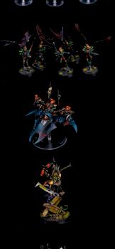 Warhammer 40k Drukhari Army by cool-minis.com