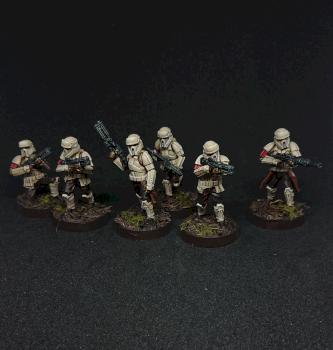 Star Wars Legion Empire Shoretrooper by Bauer