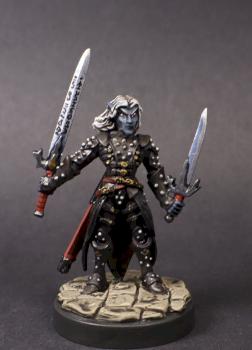 Reaper Miniatures PAINTED - TORIE DOMAN, DARK ELF - 02882 - (metal mini) by mikecarrero