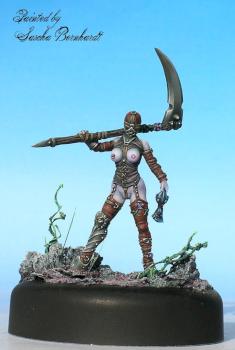THE ROSE OF KER-YS by Sash