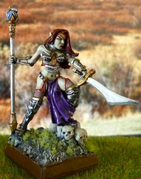 Dark Elf Sorceress by Bruce