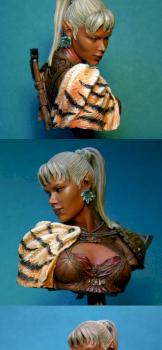Elf Huntress by Roman 2.0