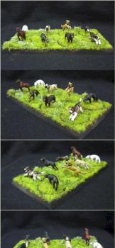 Perros de La Comarca by karavatis