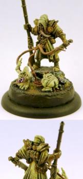 Champion of Nurgle by paintingrobot