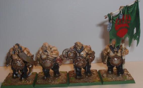 Buffles by Valmir
