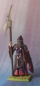 Dark Elf from Gamezone Miniatures by HeroesQUEST