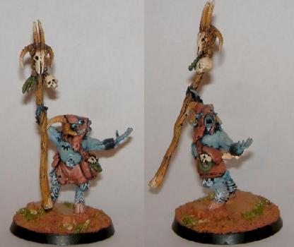 beastman shaman by storm hawk