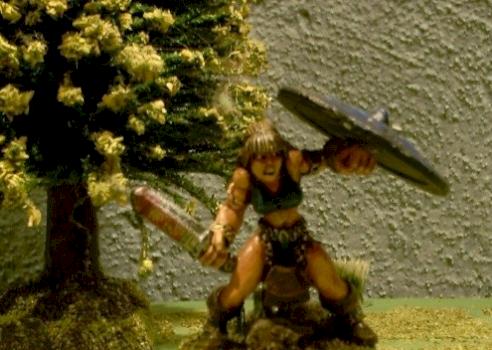 Shield Maiden by Ugly Stick
