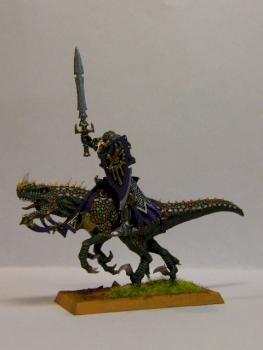 Dark Elf Cold One Knights by Shumer