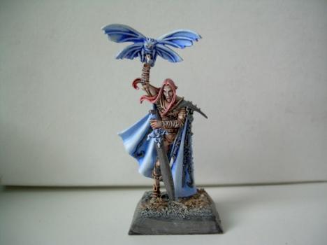 Sorcier elfe by JBR
