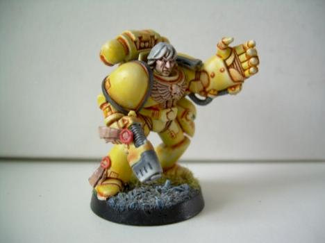 Champion Imperial Fist by JBR