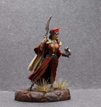 Dark Sword FEmale Warrior with Hawk by superbug983