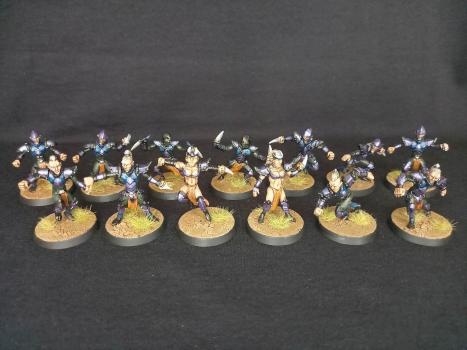 Dark Elf Blood Bowl Team by figurecase