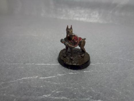 aximillion death korps converted war dog by thecat