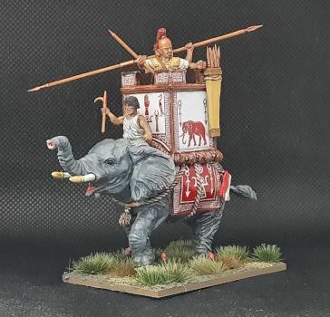 War elefant by AntonSh