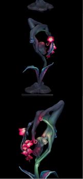 La ballerina della notte by JakeyZH