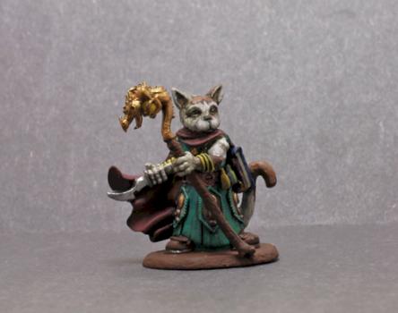 Dark Sword Feline Sorcerer by superbug983