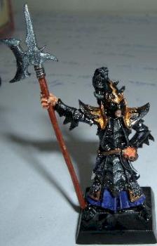 Dark Elf Black Guard by magus3
